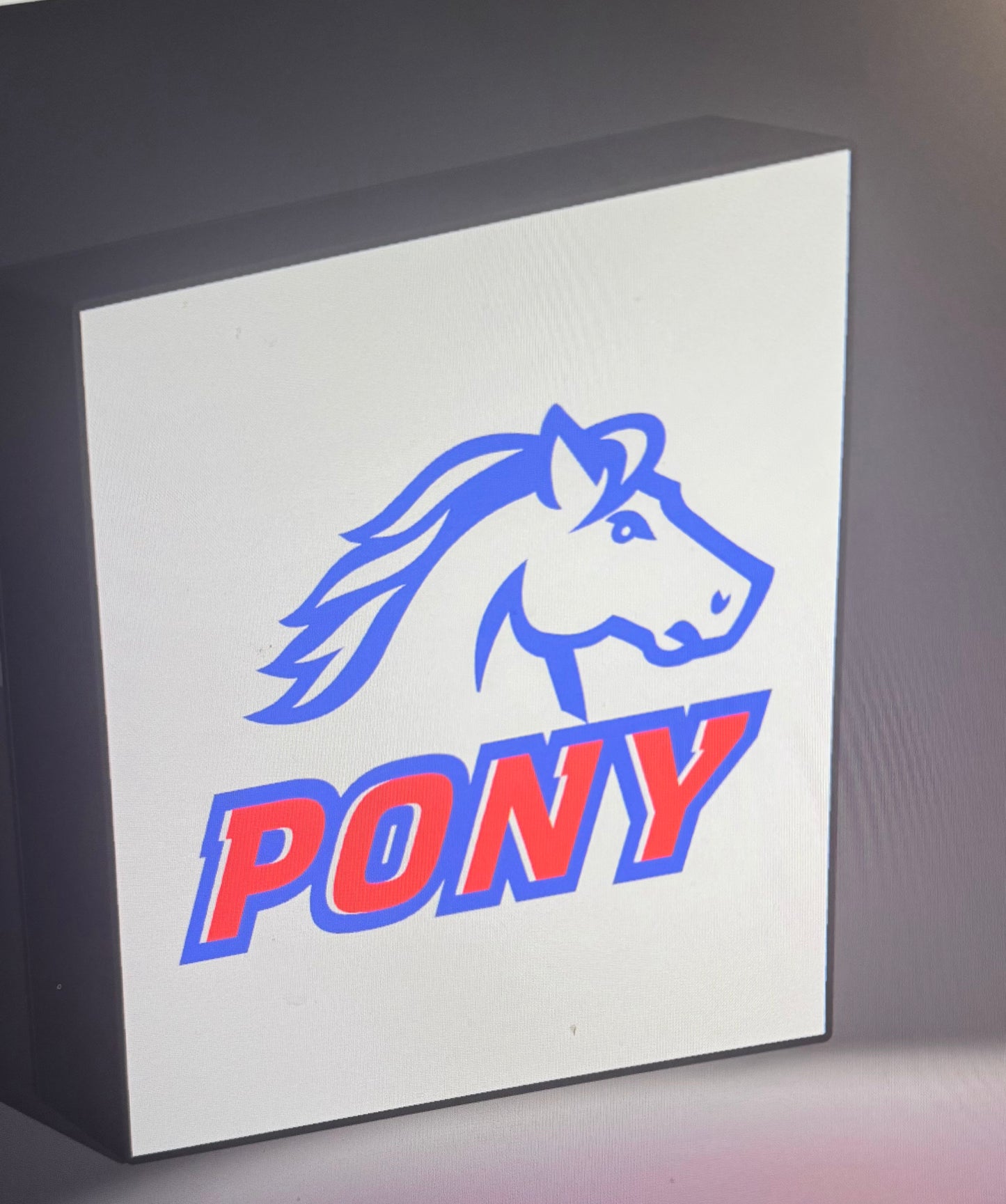 Custom Logo Lightboxes